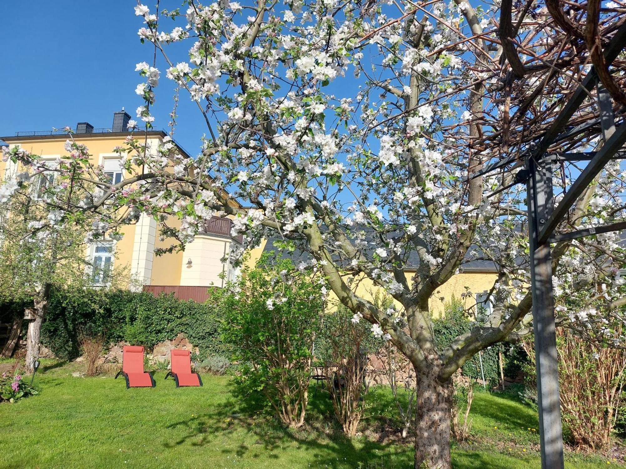 Villa Tini Radebeul Exterior foto